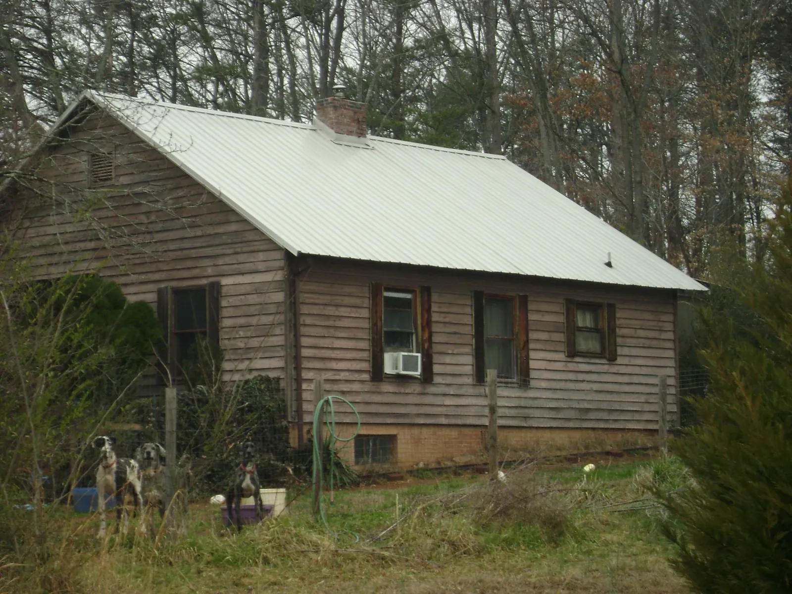 White metal roof on an old wood sided farmhouse, from a Metal Roof Installation job in Marshfield
